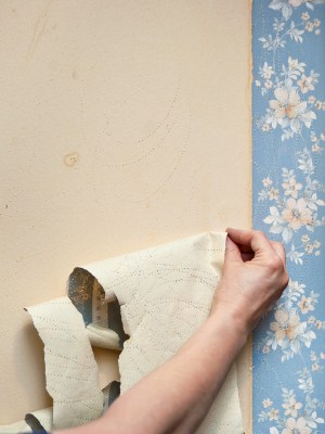 Wallpaper removal in Ironia, New Jersey by Andy Painting Service Contractor.